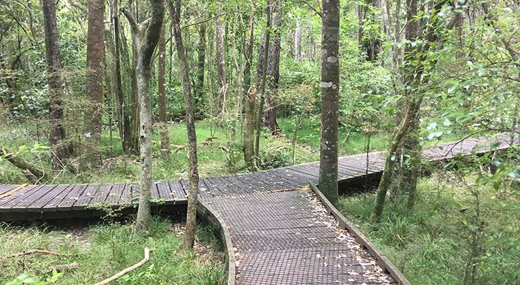 Smiths Bush Path - Turn right at the second junction to return to the car park.