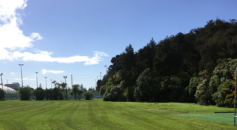 Smiths Bush Path - Sports fields at Onewa Domain.