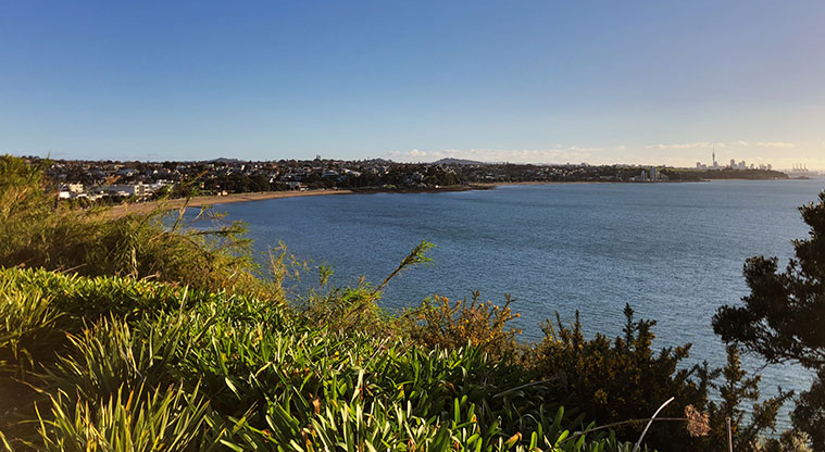 St Heliers to Achilles Point - Views over St Heliers Bay.