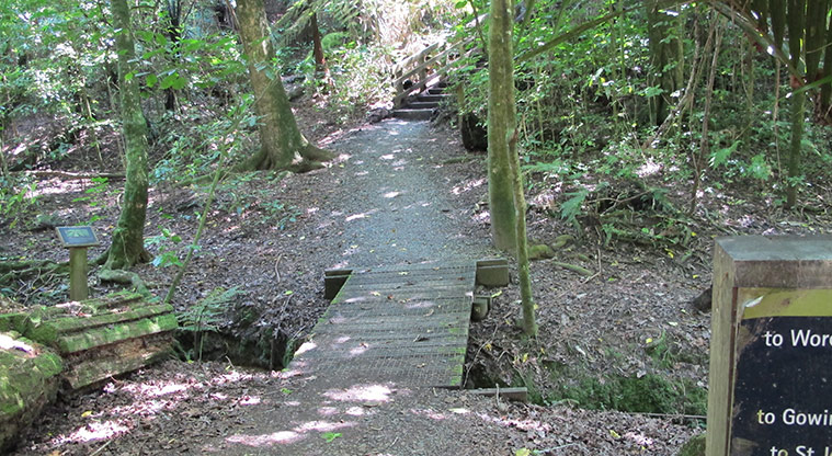 St Johns Bush Path - Short bridge over small stream.
