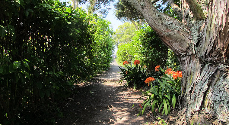 St Johns Bush Path - Access from St Johns Road.
