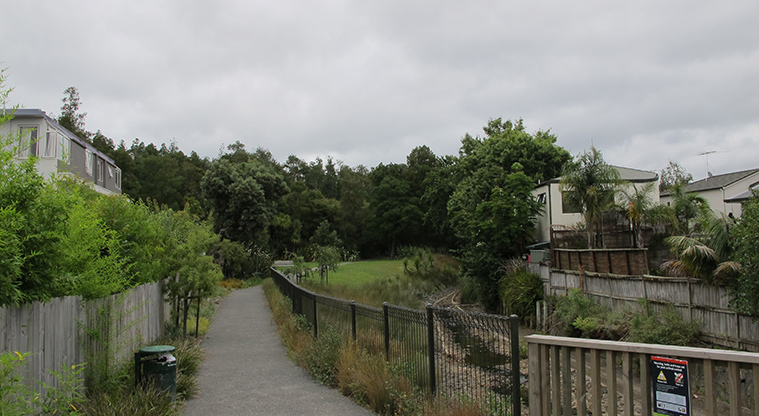 Stancich Reserve Path - Follow the concrete path into the bush area.