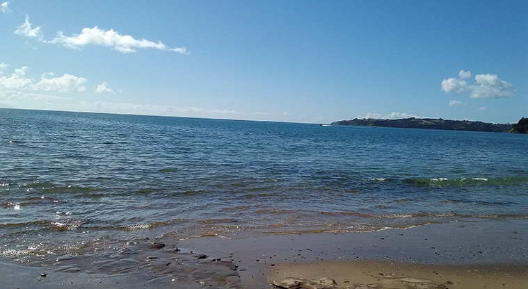 Stanmore Bay Beach Path - Views out to end of Whangaparāoa Peninsula.