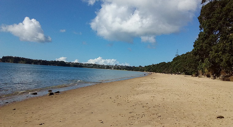 Stanmore Bay Beach Path - Looking back along the beach.