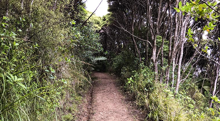 Station Rock Path - The first part of the path is nice and easy – an old farm road.