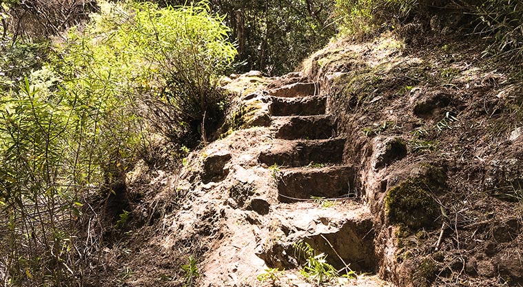 Station Rock Path - Soon you’ll hit the climb up to the hill – well developed steps make it totally manageable.