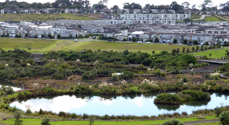 Stonefields Path - View over Stonefields lake.
