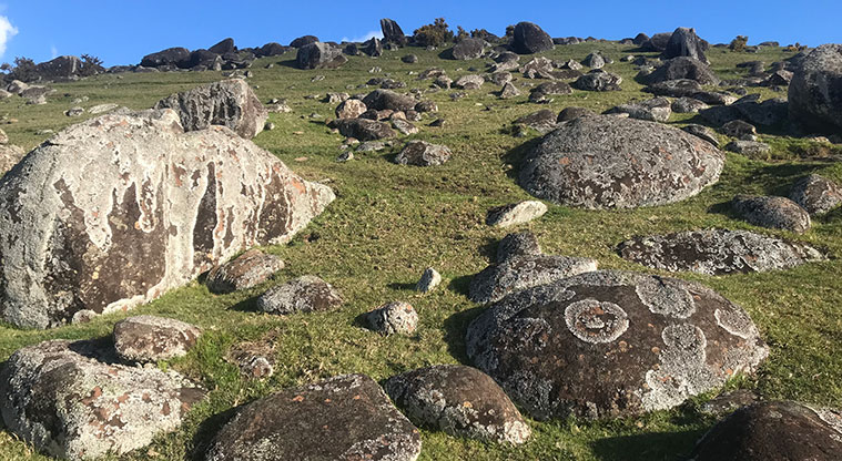 Stony Batter Path - The name Stony Batter refers to the huge rocks and boulders that are scattered around the paddocks here.