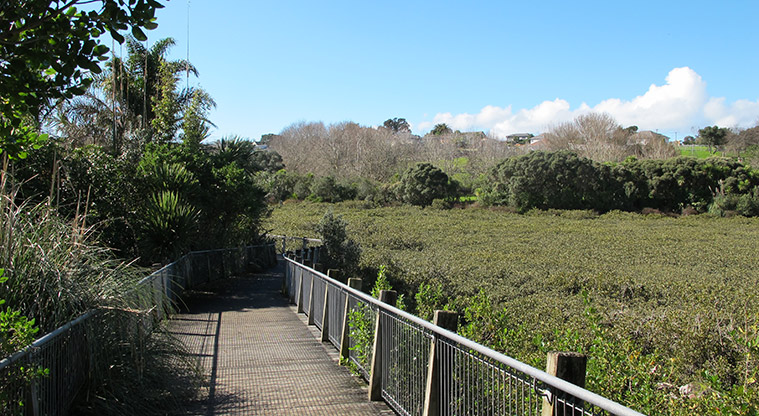 Takapuna to Devonport Path - Northboro Reserve access.