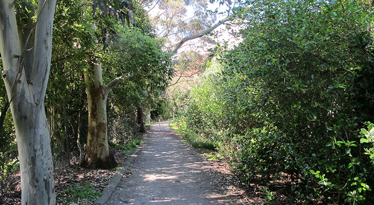 Takapuna to Devonport Path - Path connecting Ngataringa Park with Victoria Road.