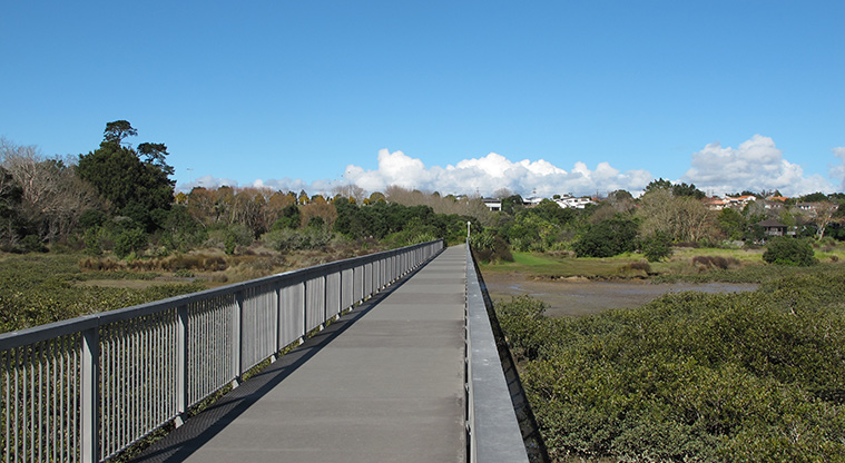 Takapuna to Devonport Path