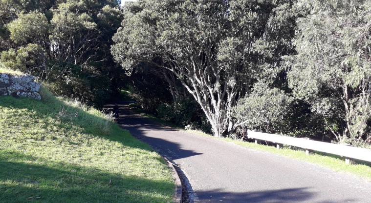 Takarunga / Mt Victoria Path - Section of sealed road leading up to the tihi.