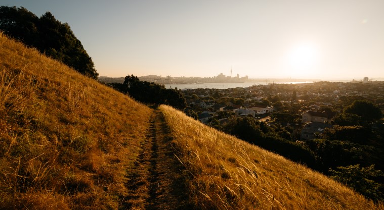 Takarunga / Mt Victoria Path - View from the maunga at sunset.