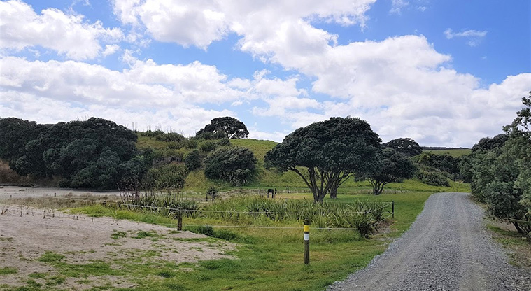 Tāwharanui Ecology Path - Follow the yellow route markers (with white).