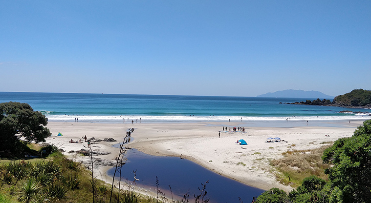 Tāwharanui Ecology Path - Path rises above Anchor Bay.