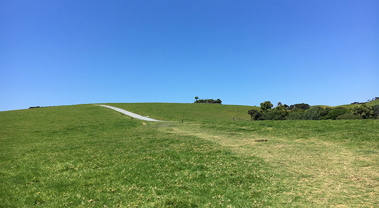 Tāwharanui Ecology Path - Walk through the paddock up to the gravel path.