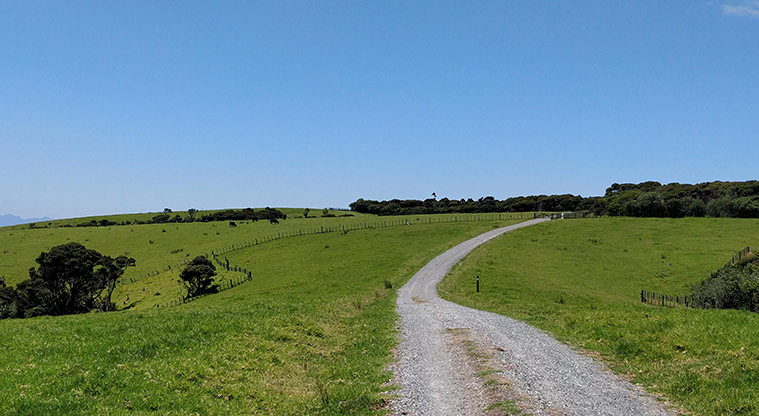 Tāwharanui Ecology Path - Follow the gravel path up to the bush.