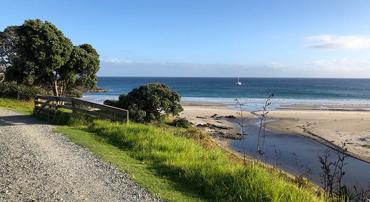 Tāwharanui Ecology Path - Follow the path back to start.