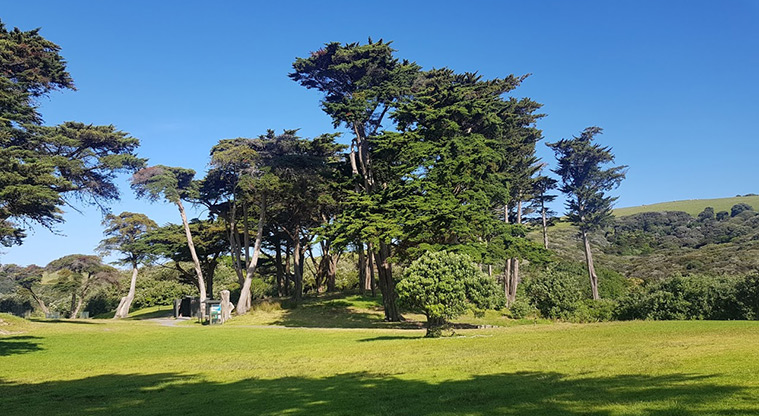 Tāwharanui West End Path - Open park area by car park.