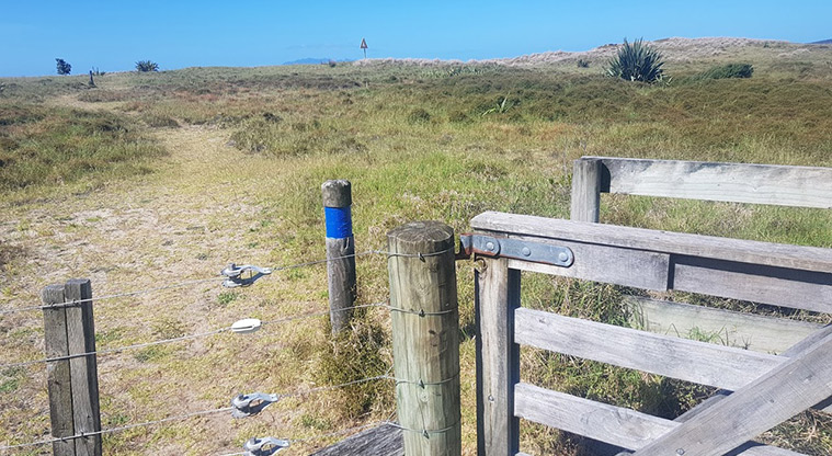 Tāwharanui West End Path - Go through the gate to connect to the beach.
