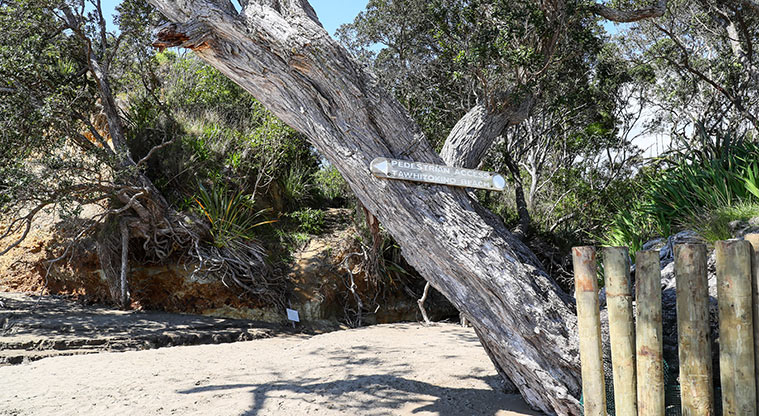 Tawhitokino Beach Track - Follow the informal signage along the way.