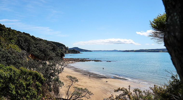 Tawhitokino Beach Track - View over Tuturau Bay.