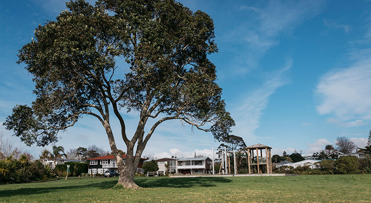 Te Atatu Peninsula North Path - Playground.