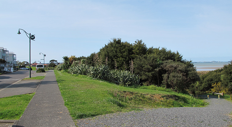 Te Atatu Playground Path - Gravel access to Harbourview-Orangihina Path.