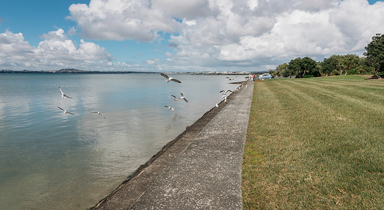 Te Atatu Playground Path - Sit on the sea wall.