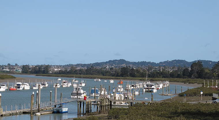 Te Atatu to City Path - Views over Whau River from bridge.