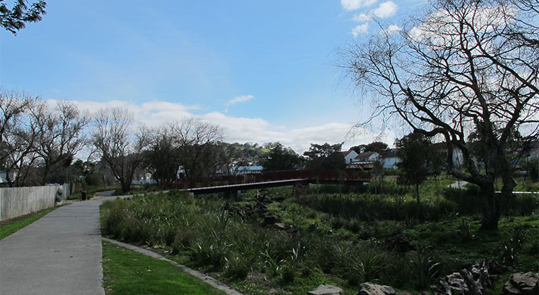 Wesley Path - along the edge of the restored Te Auaunga – Oakley Creek