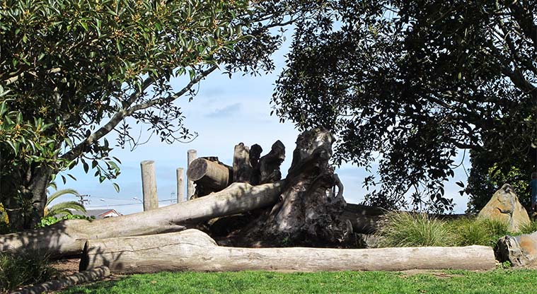 Wesley Path - large trees, logs and natural play area.