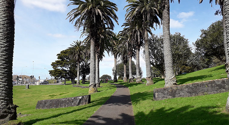 Wesley Path - walk through palms to lights at Dominion Road.