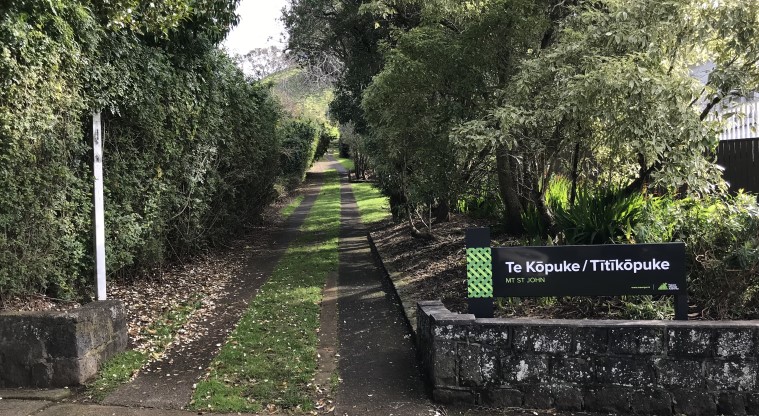 Te Kōpuke / Tītīkōpuke / Mt St John - An alternative access route on Market Road, between number 101 and 103.