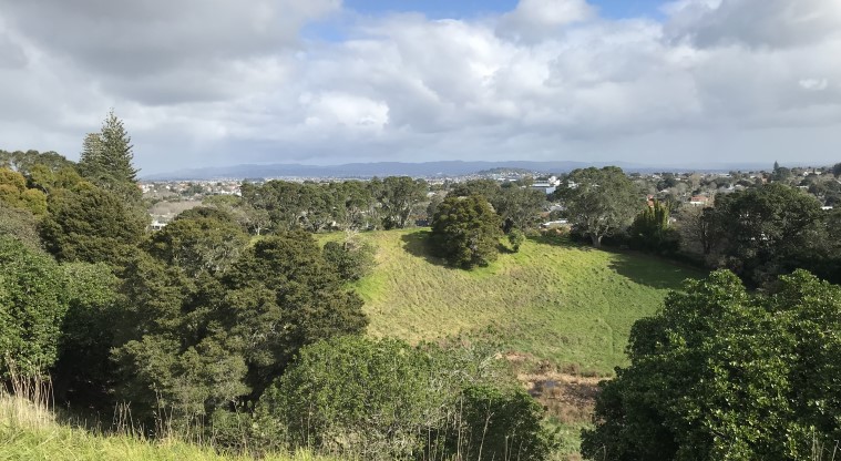 Te Kōpuke / Tītīkōpuke / Mt St John - View from the summit, looking into the crater.