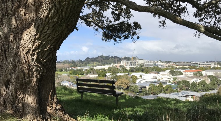 Te Kōpuke / Tītīkōpuke / Mt St John - A bench with views overlooking Maungakiekie / One Tree Hill.