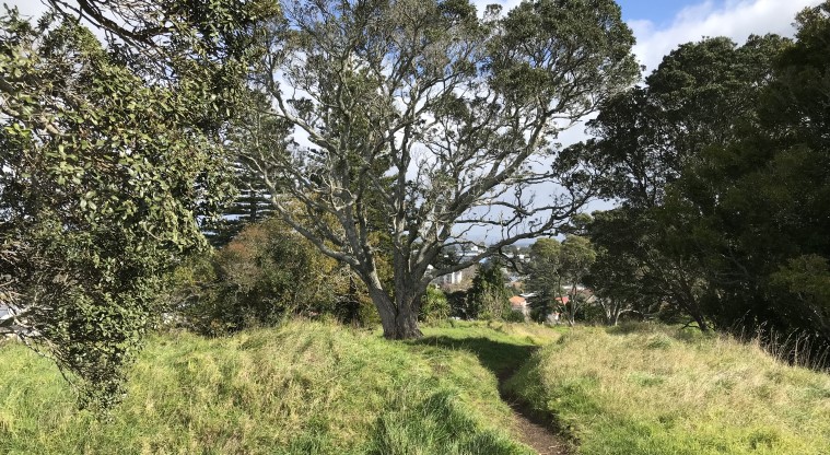 Te Kōpuke / Tītīkōpuke / Mt St John - Section of the narrow crater rim track.