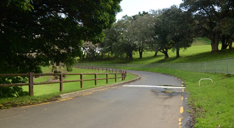 Te Pane o Mataoho / Te Ara Pueru / Māngere Mountain Path - A short section of path which travels along Domain Road.