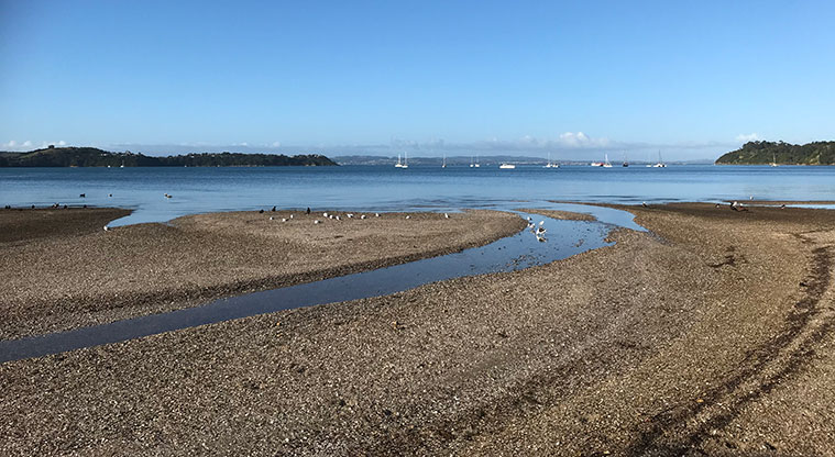 Three Beaches Path - Blackpool Beach is a beautiful, quiet, tidal bay.