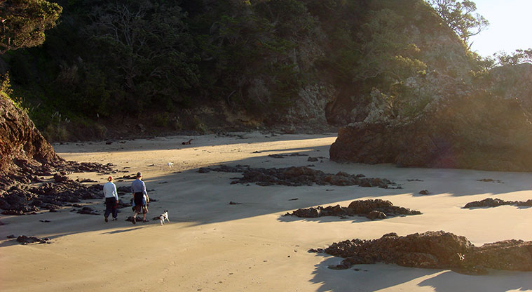 Three Beaches Path - At low tide you can head to Oneroa Beach on the foreshore around the rocks, a beautiful, varied walk.