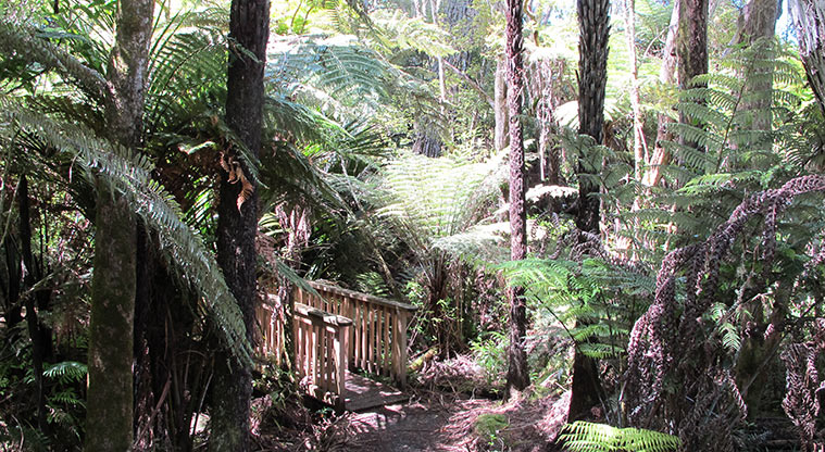Three Streams Path - Short bridge sections.