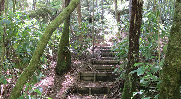 Three Streams Path - There are a few steps to negotiate.