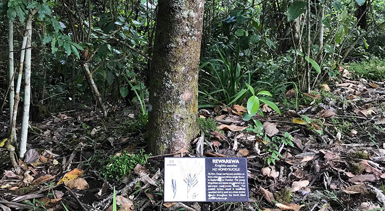 Three Streams Path - Look out for the interpretative signs along the way.