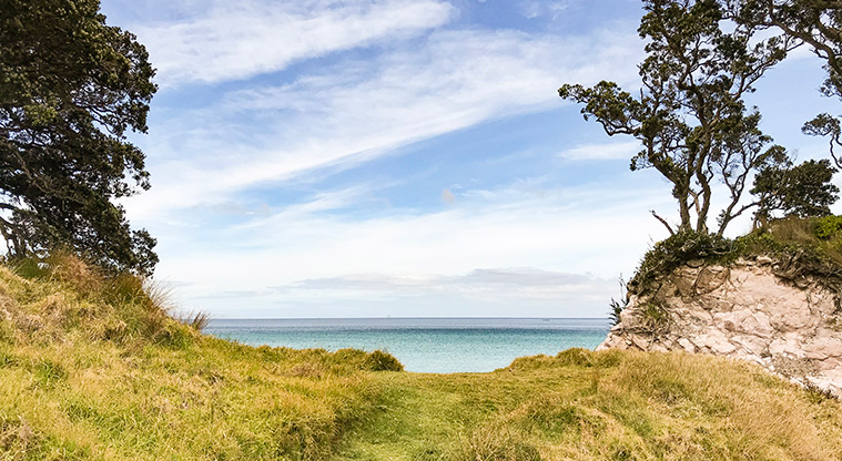 Tryphena Path - Great views out to sea and around the bay from the headland.