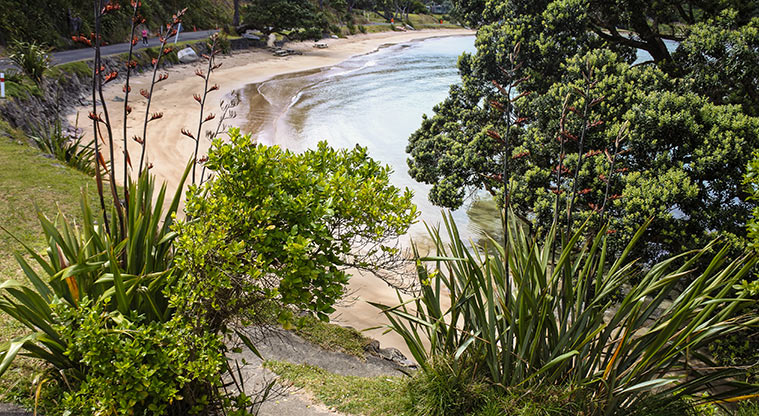 Tryphena Path - At low tide, hop down on the beach by the pōhutukawa.