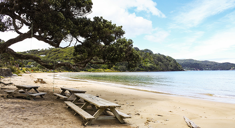 Tryphena Path - Gooseberry Flat Beach where locals and visitors get together.