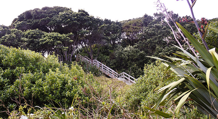 Tryphena Path - Climb the stairs up to the road to Mulberry Grove.