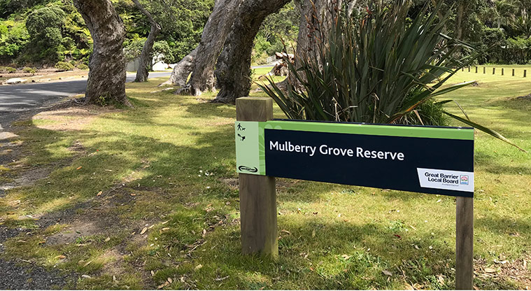 Tryphena Path - Mulberry Grove, a great place for a pit stop.