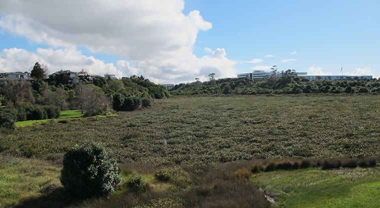 Tuff Crater Path - View over Tuff Crater.
