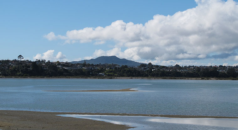 Tuff Crater Path - View to Rangitoto from motorway overbridge.